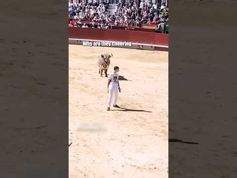 এই খেলা আপনাকে কোটিপতি বানাতে পারে | This Is Bull Game #shorts #animals