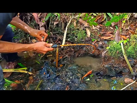 PEMANCING IKAN LEMBAT | MANCING IKAN LEMBAT DAPAT REJEKI DI LUBANG BARU | fishing 2025