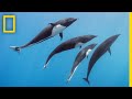Underwater Exploration and Photography Challenges
