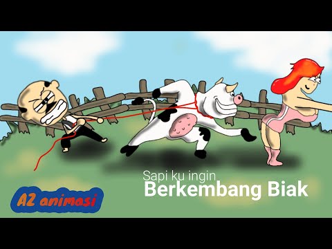 SAPI KU INGIN BERKEMBANG BIAK