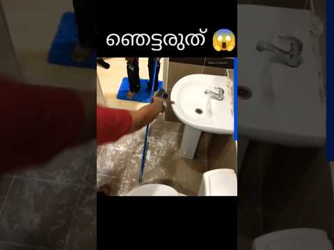 ഇയ്യ് വീഡിയോ കാണാതെ പോകരുത് 😱❗️ unknown facts | facts Malayalam #shorts  #viral #trending