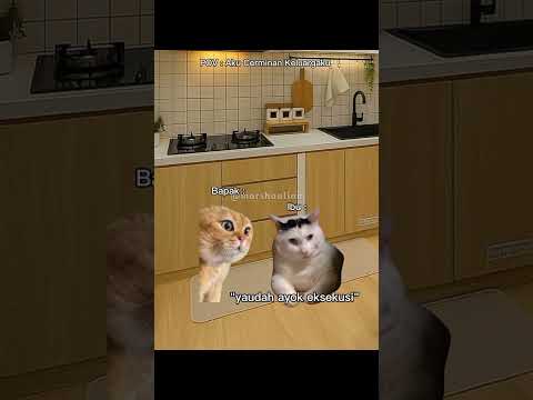 Kasihan Riski #short #fyp #memes #memecat #memekucing #fypage