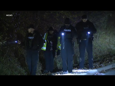 YouTube video thumbnail: 911 Calls Released in Airbnb House Party Shooting