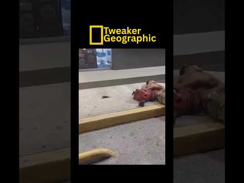 Tweaker Geographic Episode 101: “Chemical Slumber”