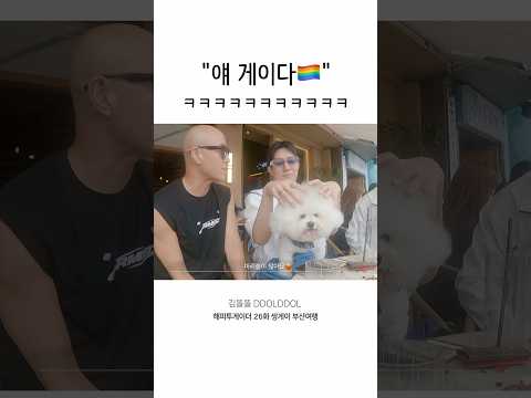 얘 게이다🐶🏳️‍🌈