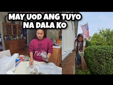 DAMING UOD NADALA SA AMERIKA 😪 - Pinay sa Amerika