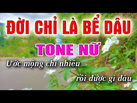 Đời Chỉ Là Bể Dâu Karaoke [ Tone Nữ ] Beat Karaoke Nhạc Sống 2022 | Lâm Organ