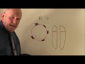 Rhesus Factor Genetics and Implications