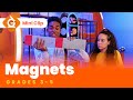 Magnetism and Electromagnetism Concepts