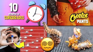 30 COISAS QUE VOCÊ NÃO SABIA EM 10 MINUTOS 🤓⏳ [234]