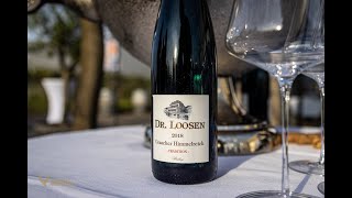 +++ Unsere Jahrgangspräsentation der 2019er Rotweine +++