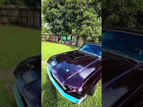 2 Mustangs For Sale: 1967 351 V8 & Original 1970 6 Cylinder by Motto Motors