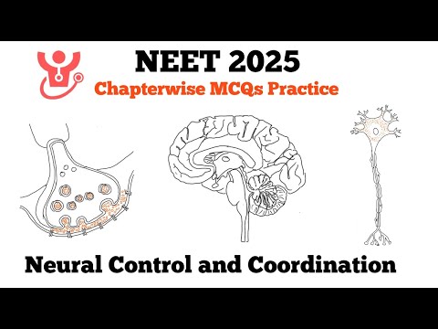 NEET 2025 : Test Yourself 🔥 | Neural Control and Coordination MCQs 📚 | NEET Biology MCQ Practice 🧠