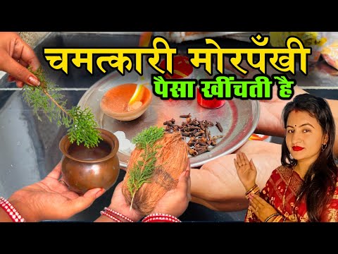 मोरपँखी आपको रातों-रात करोड़पति बनाएगा, मालामाल कर देगा | Prema nand ji Maharaj
