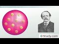 Exploring Early Atomic Theory: Dalton to Millikan