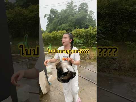 ใบปอเอาบุญแอว????? #ใบปอรัตติยา #ราชินีรถแห่