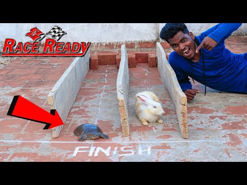 Rabbit VS Turtle Running Race | Story vs Real  Experiment ..😂