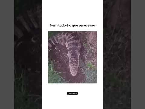 Nem tudo é o que parece ser