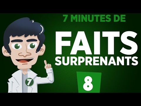 7 minutes de faits surprenants #8
