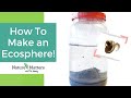Ecosphere Activities and Observations