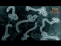 Innovation and Problem Solving at The Gates Foundation