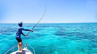 Is This The Best Fishing Reef In The World?!