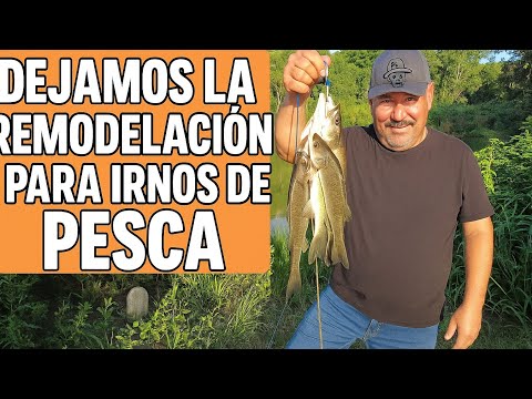 "¡ABANDONAMOS la Remodelación por Esto… y NO nos Arrepentimos!"