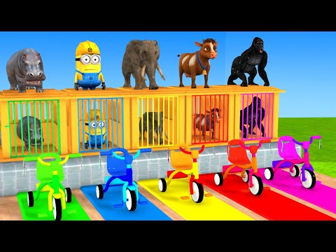 Long Slide Game With Elephant Gorilla Buffalo Hippopotamus Tiger 3d Animal Game Funny 3d Animals