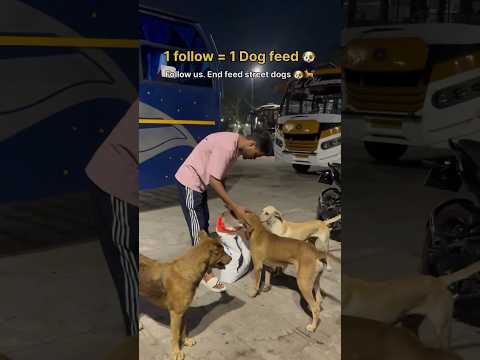 Once Again for All Street Dog ๐ถ Lovers