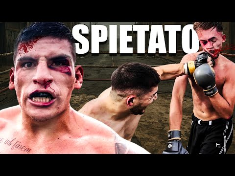SCOPPIA UNA RISSA CLAMOROSA A STRELKA IN TOSCANA! 😱🔥