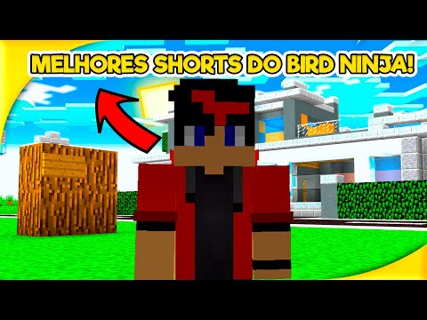 o MELHOR do Bird Ninja #1!