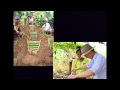 Southeast Asian History and Culture