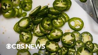 YouTube video thumbnail: Taylor Farms Recalls jalapeño Products at Retailers Like Target and Walmart Over Salmonella Risk