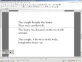 Apositive Phrases and Comma Usage