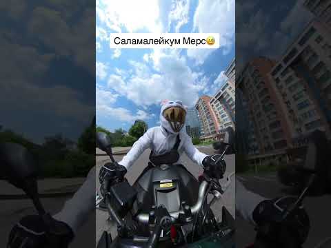 Рагу из кролика почти вышло 😅 #motorcycle #biker #realbiker #bunny