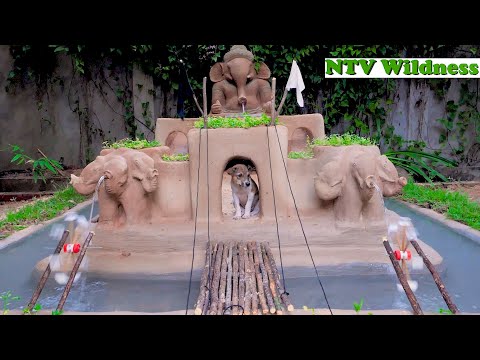 Build Mud Dog's House For Abandon Puppies With Elephant Face