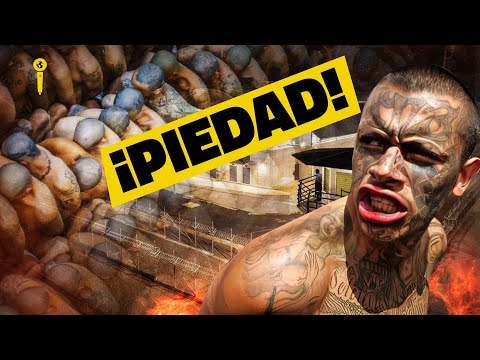 LAS MARAS SUPLICAN por PIEDAD I Impacto Mundo