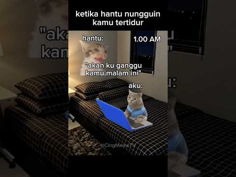 ketika hantu nungguin kamu tertidur.#meme #memekucing #kucinglucu #kucing #fyp #viral