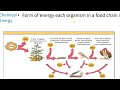 Energy and Matter in Ecosystems