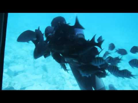 Sea World Explorer Grand Case Saint Martin