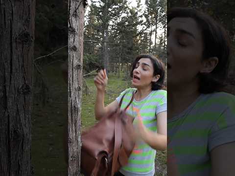 The best use of DRY WOOD #outdoors #bushcraft #survival #camping #skills #forest