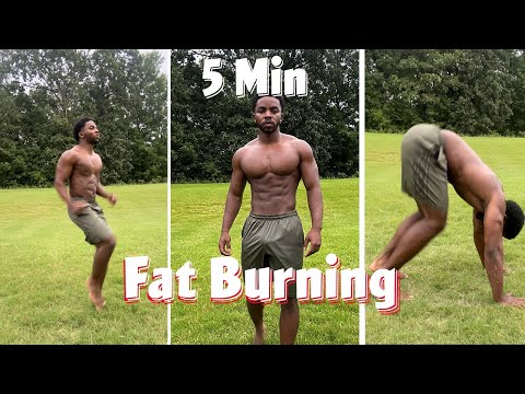 5 Minute HIIT | Fat Loss