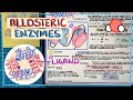 Enzyme and Ligand Interaction Concepts