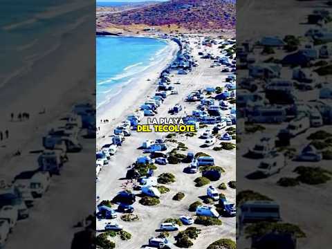Extranjeros se “adueñan” de playas mexicanas en Baja California #viral #shorts #noticiasmexico