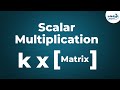 Exploring Scalar Multiplication of Matrices