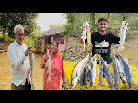 ভোররাতে অজয় নদীর সবচেয়ে দামী মাছ ধরার আনন্দ। Village River Fishing..🐟 🐠🦈