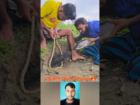 പുതിയ മീൻ പിടുത്തം #mallutraveler#fishingfreaks#shortsX#mallu#malayalam#m4tech