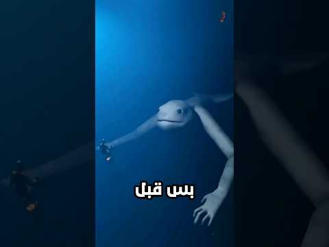 أهرب فوراً ?