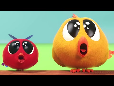 Chicky en la granja | ¿Dónde está Chicky? | Colección dibujos animados para Niños | Nuevos episodios