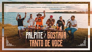 Zé Ricardo e Thiago, Cleber e Cauan, Kelvin e Gustavo, Palpite/Pescador de ilusões/Gostava Tanto
